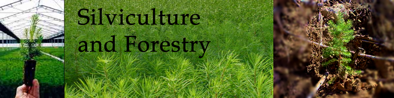 Silvaculture/Forestry